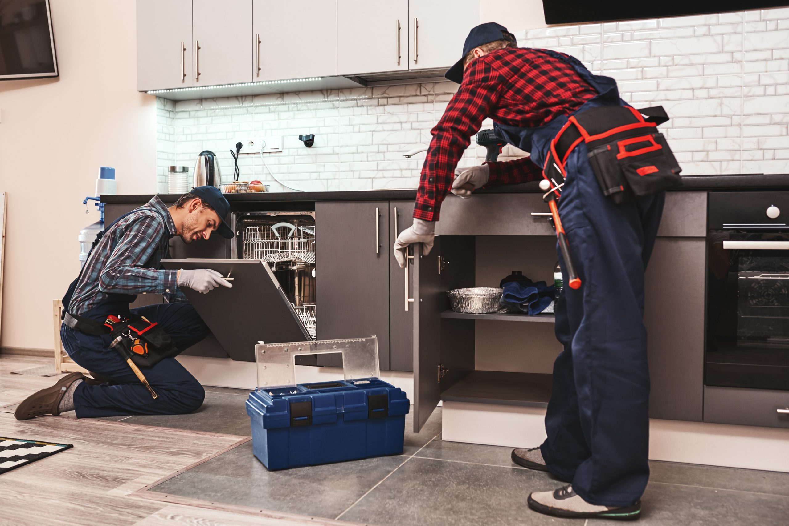 learning from the best. two men technician sitting near dishwasher